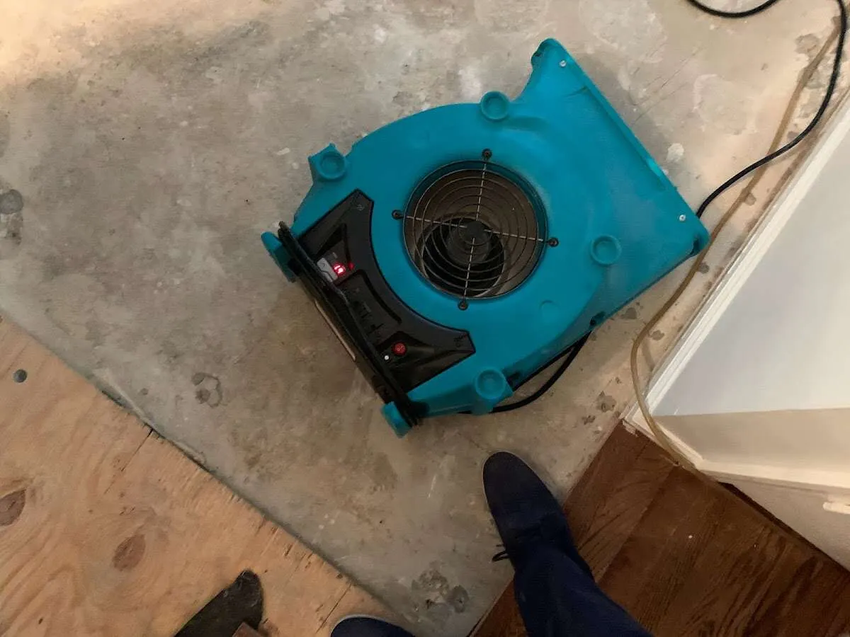 Air mover drying subfloor during Leak Detection & Repair in Fircrest