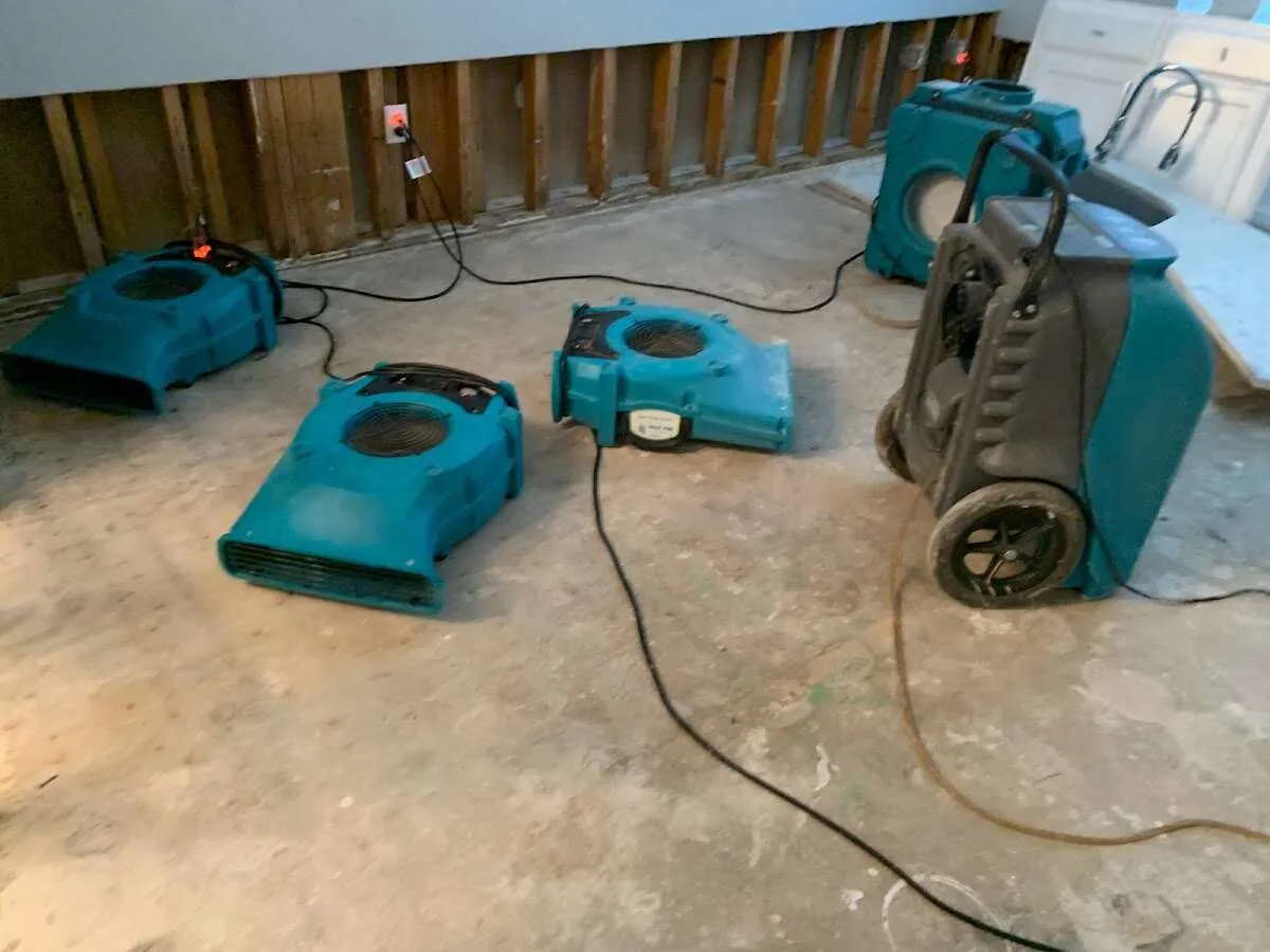 Water Damage Restoration services in Fircrest, WA